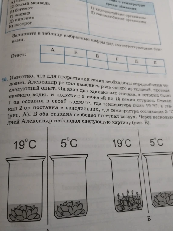 Известно, что для прорастания семян необходимы определённые условия. Александр решил выяснить роль одного из условий, проведя следующий опыт.