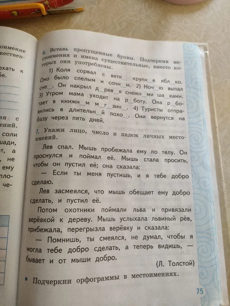 Вставь пропущенные буквы. Подчеркни местоимения и имена существительные, вместо которых они употреблены. Укажи лицо, число и падеж личных местоимений.