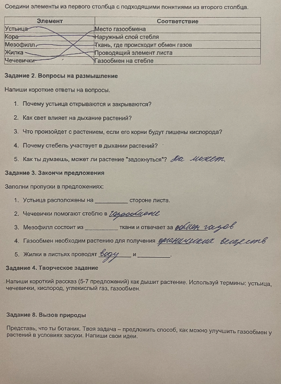 Напиши короткие ответы на вопросы: 1. Почему устьица открываются и закрываются? 2. Как свет влияет на дыхание растений? 3. Что произойдет с растением, если его корни будут лишены кислорода? 4. Почему стебель участвует в дыхании растений? 5. Как ты думаешь, может ли растение 'задохнуться'?