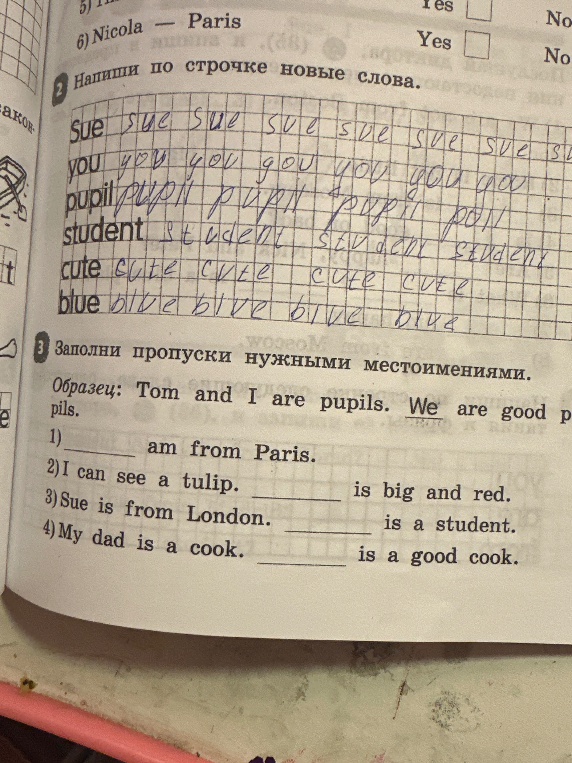 Заполни пропуски нужными местоимениями.