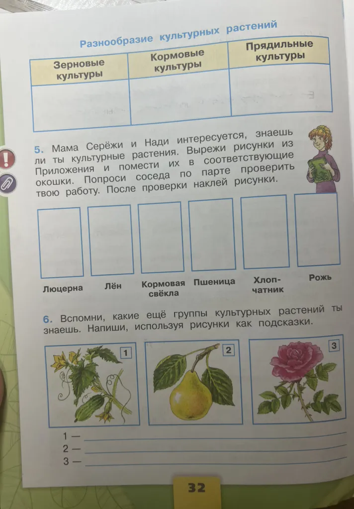 Распределите культурные растения по группам: Зерновые, Кормовые, Прядильные. Назовите дополнительные группы растений по рисункам.