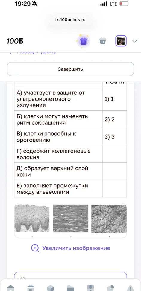 Установите соответствие между характеристиками и типами тканей, представленными на микрофотографиях.