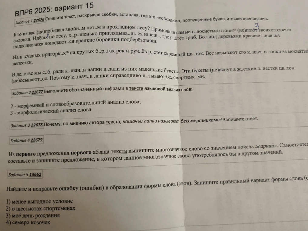 ВПР6 2025: вариант 15. Задание 1 Спишите текст, раскрывая скобки, вставляя, где это необходимо, пропущенные буквы и знаки препинания.