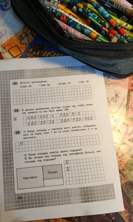 Вычисли произведения: 8300 * 48, 7009 * 26, 125080 * 32, 7500 * 40; Расставь скобки в выражениях; Найди площадь и периметр участка по плану.