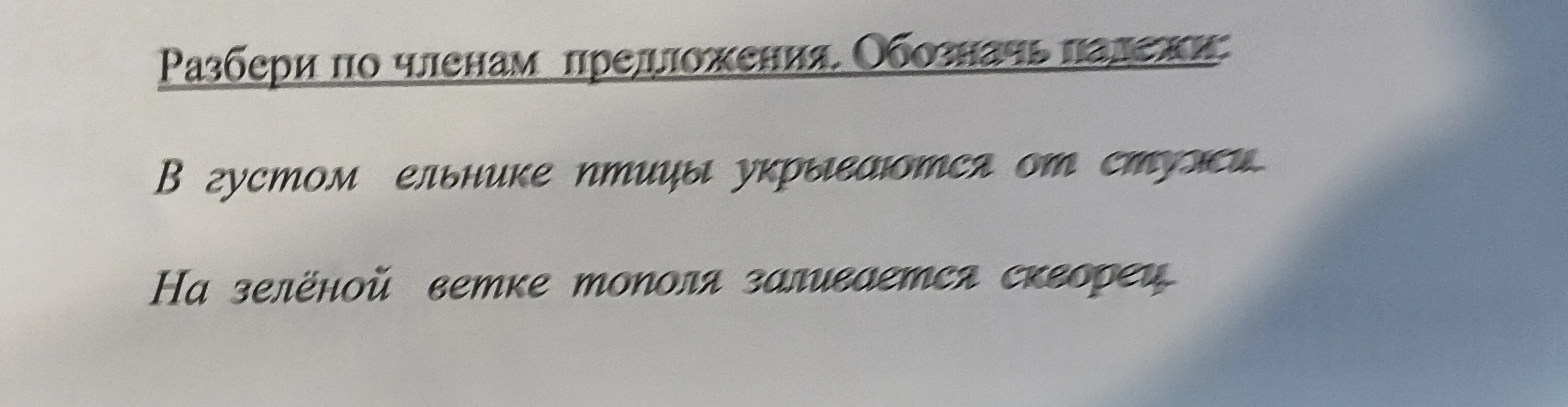 Разбери по членам предложения. Обозначь падежи: В густом ельнике птицы укрываются от стужи. На зелёной ветке тополя заливается скворец.