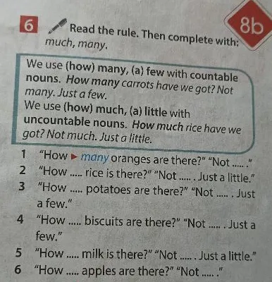Read the rule. Then complete with: much, many.