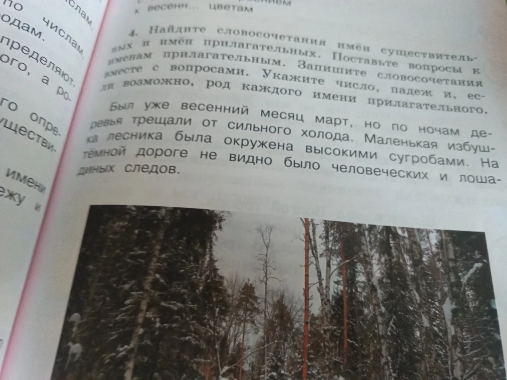 Найдите словосочетания имён существительных и имён прилагательных. Поставьте вопросы к именам прилагательным. Запишите словосочетания вместе с вопросами. Укажите число, падеж и, если возможно, род каждого имени прилагательного.