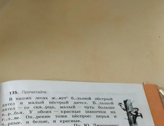 Прочитайте. В наших лесах ж..вут большой пёстрый дятел и малый пёстрый дятел.