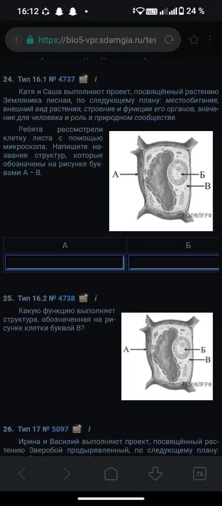 Напишите названия структур, которые обозначены на рисунке буквами А – В. Какую функцию выполняет структура, обозначенная на рисунке клетки буквой В?