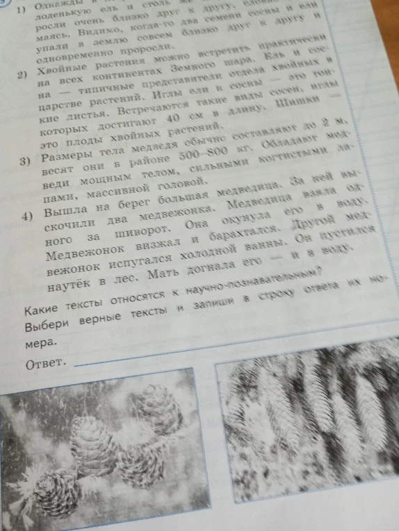 Какие тексты относятся к научно-познавательным? Выбери верные тексты и запиши в строку ответа их номера.