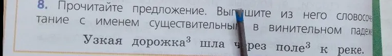 Прочитайте предложение. Выпишите из него словосочетание с именем существительным в винительном падеже. Узкая дорожка шла через поле к реке.
