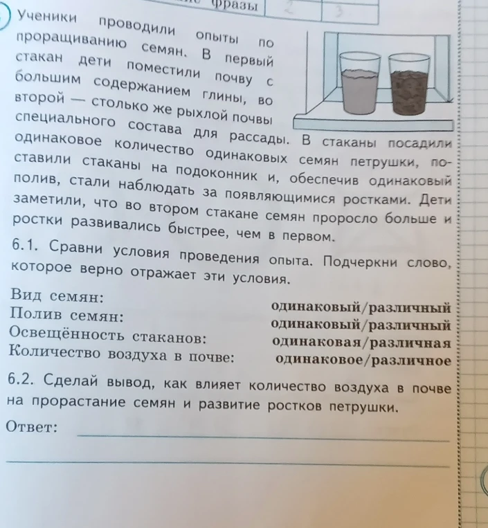 Ученики проводили опыты по проращиванию семян. Сравни условия проведения опыта и сделай вывод, как влияет количество воздуха в почве на прорастание семян.