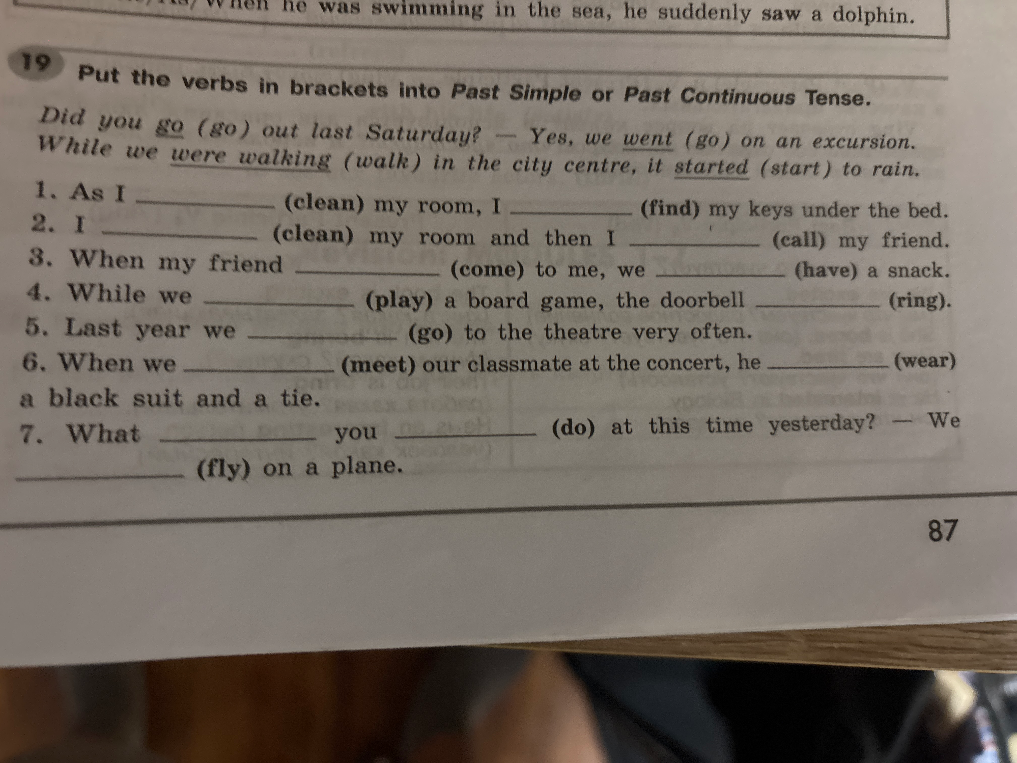 Put the verbs in brackets into Past Simple or Past Continuous Tense.