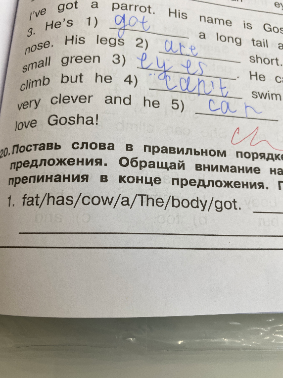 Поставь слова в правильном порядке, чтобы получились предложения. 1. fat/has/cow/a/The/body/got.