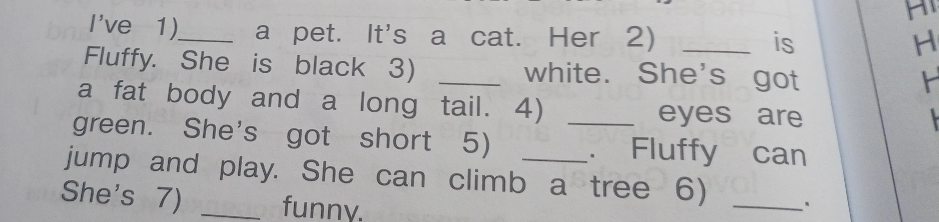 Заполните пропуски в тексте: I’ve 1)___ a pet. It’s a cat. Her 2) ___ is Fluffy. She is black 3) ___ white. She’s got a fat body and a long tail. 4) ___ eyes are green. She’s got short 5) ___. Fluffy can jump and play. She can climb a tree 6) ___. She’s 7) ___ funny.
