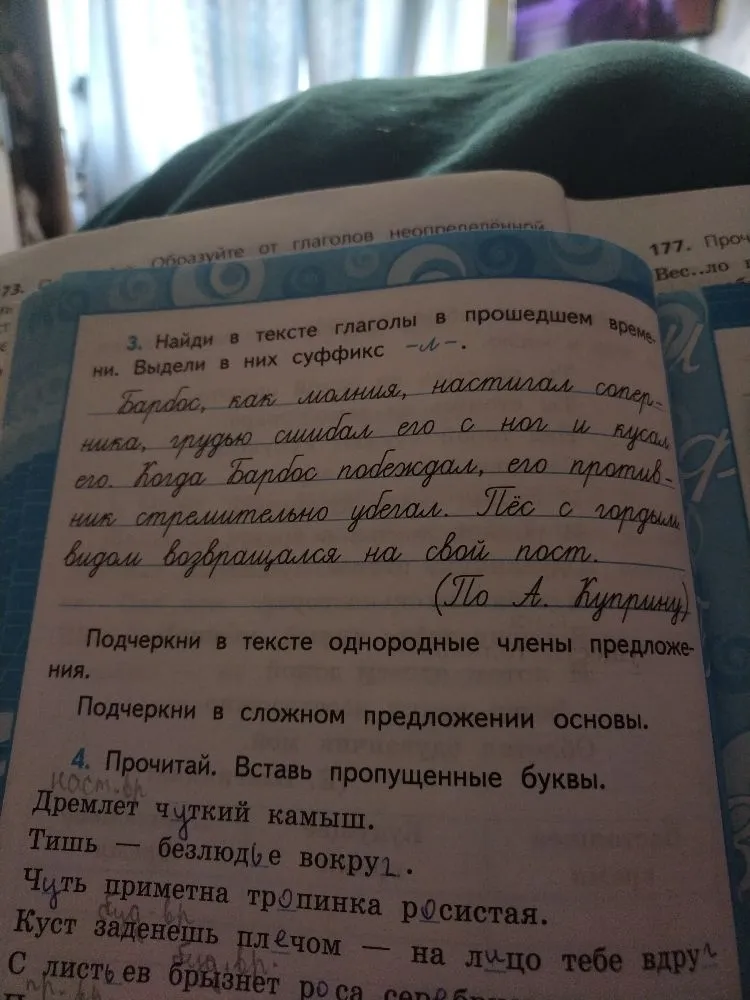 Найди в тексте глаголы в прошедшем времени. Выдели в них суффикс -л-.