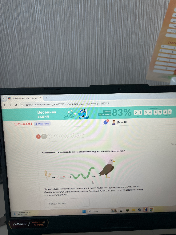 Как называется изображённая на рисунке последовательность организмов?