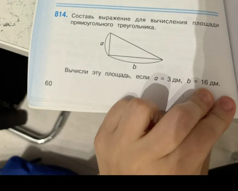 Составь выражение для вычисления площади прямоугольного треугольника. Вычисли эту площадь, если a = 3 дм, b = 16 дм.