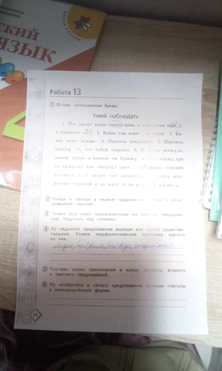 Работа 13. Умей наблюдать. Вставь пропущенные буквы. Выполни задания к тексту.