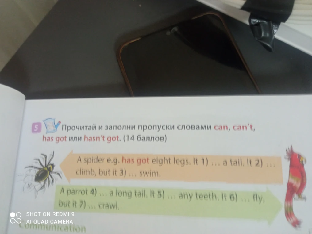 Прочитай и заполни пропуски словами can, can't, has got или hasn't got.