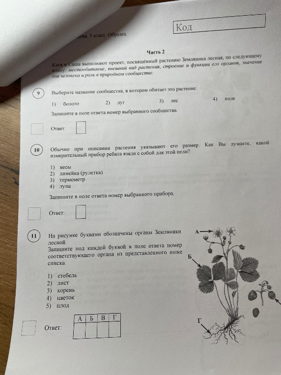 Катя и Саша выполняют проект, посвящённый растению Земляника лесная. Выберите название сообщества, в котором обитает это растение. Какой измерительный прибор ребята взяли с собой для описания размера? Запишите под каждой буквой в поле ответа номер соответствующего органа Земляники лесной.