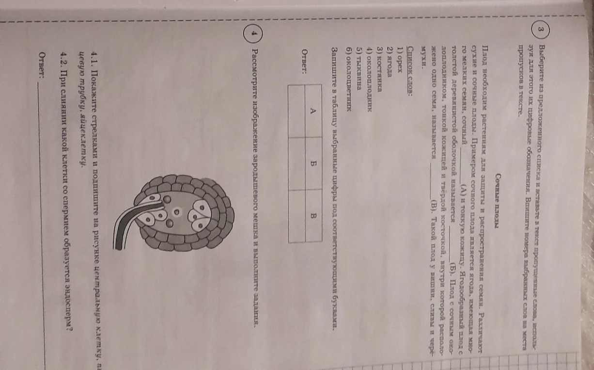 Выберите из предложенного списка и вставьте в текст пропущенные слова... Рассмотрите изображение зародышевого мешка и выполните задания.