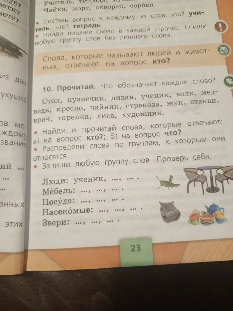 Распредели слова по группам: люди, мебель, посуда, насекомые, звери.