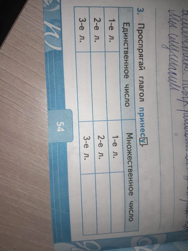 Проспрягай глагол принесу.