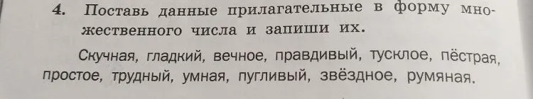 Поставь данные прилагательные в форму множественного числа и запиши их.