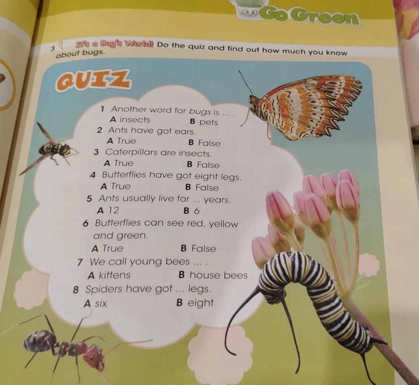 Do the quiz and find out how much you know about bugs.
