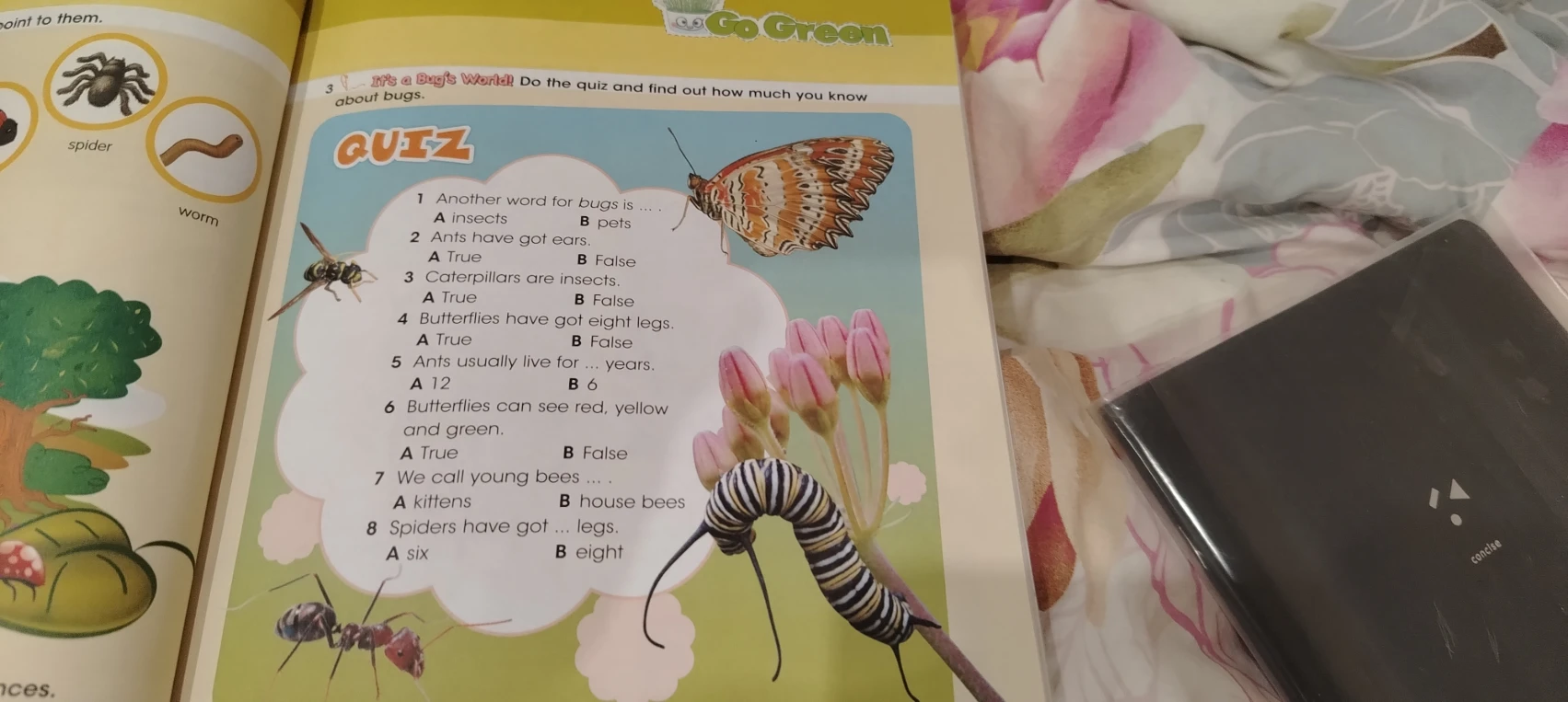 Do the quiz and find out how much you know about bugs.