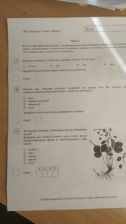 Выберите название сообщества, в котором обитает это растение. Обычно при описании растения указывают его размер. Как вы думаете, какой измерительный прибор ребята взяли с собой для этой цели? На рисунке буквами обозначены органы Земляники лесной.