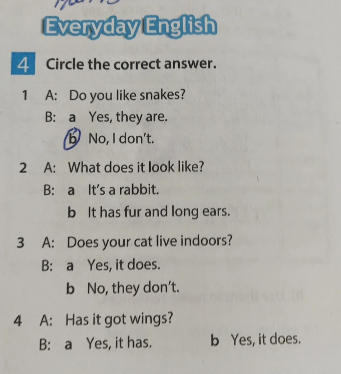 Circle the correct answer. 1 A: Do you like snakes? 2 A: What does it look like? 3 A: Does your cat live indoors? 4 A: Has it got wings?