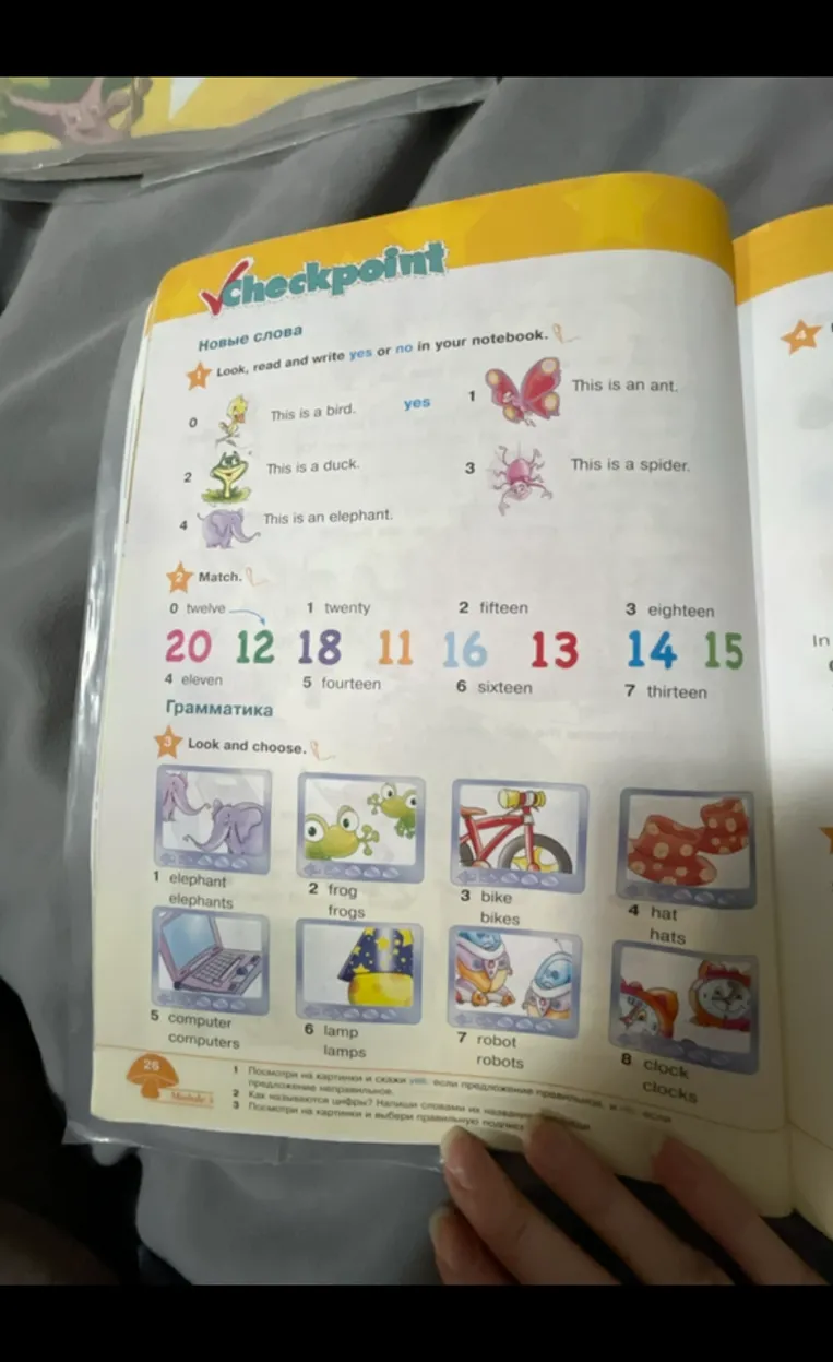 Look, read and write yes or no in your notebook; Match numbers; Look and choose plural or singular forms.
