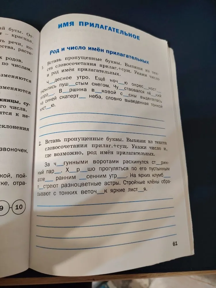 Вставь пропущенные буквы. Выпиши из текста словосочетания прилаг.+сущ. Укажи число и род имён прилагательных.