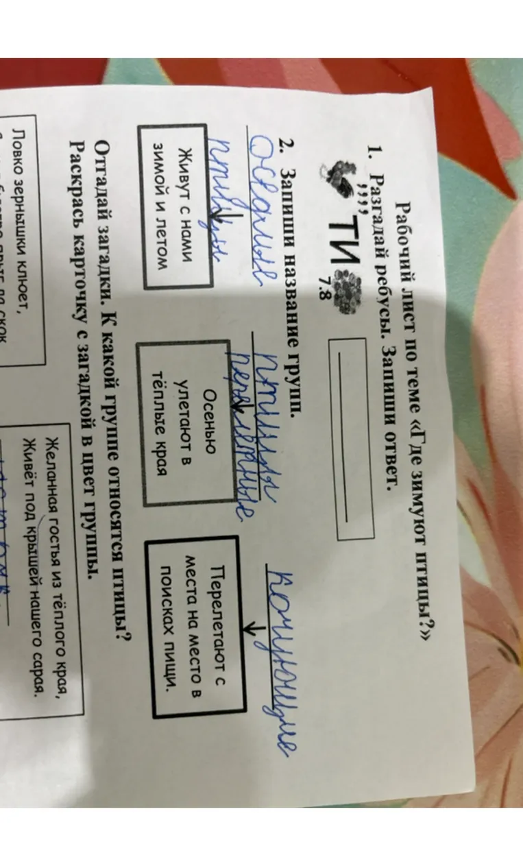 Разгадай ребусы. Запиши ответ. Запиши название групп. Отгадай загадки. К какой группе относятся птицы?