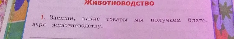 Запиши, какие товары мы получаем благодаря животноводству.