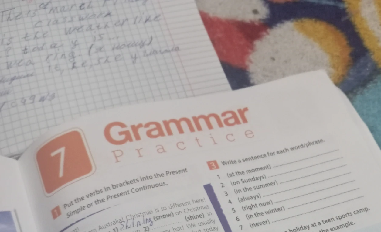 Put the verbs in brackets into the Present Simple or the Present Continuous. Write a sentence for each word/phrase.