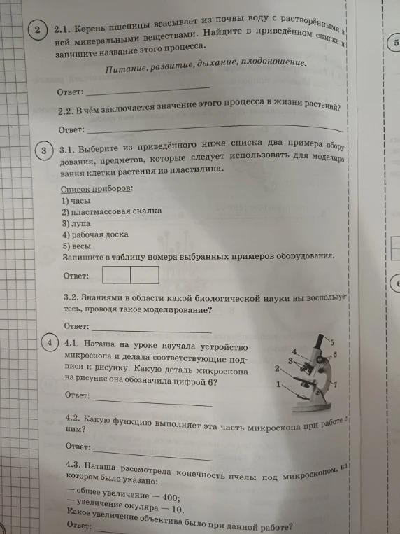 2.1. Корень пшеницы всасывает из почвы воду с растворёнными в ней минеральными веществами. Найдите в приведённом списке и запишите название этого процесса.