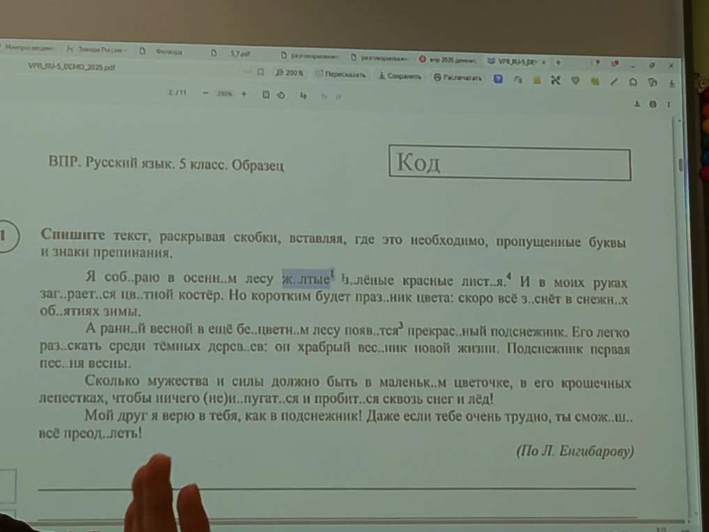 Спишите текст, раскрывая скобки, вставляя, где это необходимо, пропущенные буквы и знаки препинания.