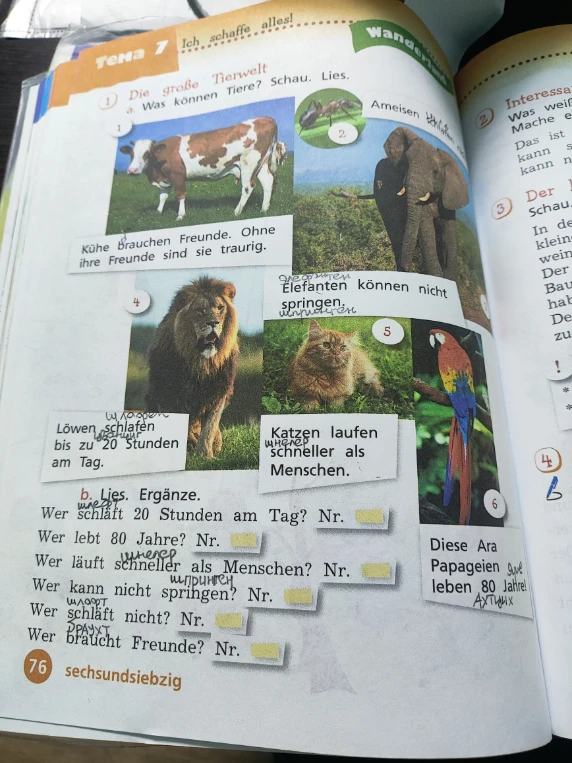 Wer schläft 20 Stunden am Tag? Nr. ... Wer lebt 80 Jahre? Nr. ... Wer läuft schneller als Menschen? Nr. ... Wer kann nicht springen? Nr. ... Wer schläft nicht? Nr. ... Wer braucht Freunde? Nr. ...