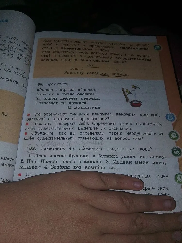 88. Прочитайте. Что обозначают омонимы пеночка, овсянка в каждом из предложений? Спишите. Определите падеж выделенных имён существительных.