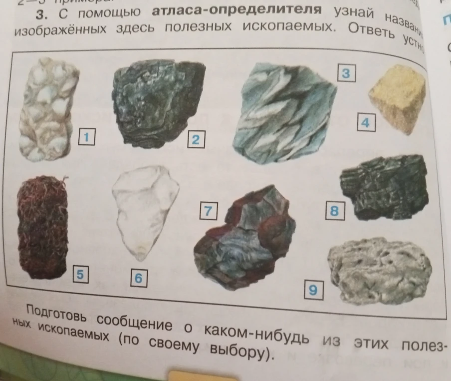 С помощью атласа-определителя узнай названия изображённых здесь полезных ископаемых. Подготовь сообщение о каком-нибудь из этих полезных ископаемых.