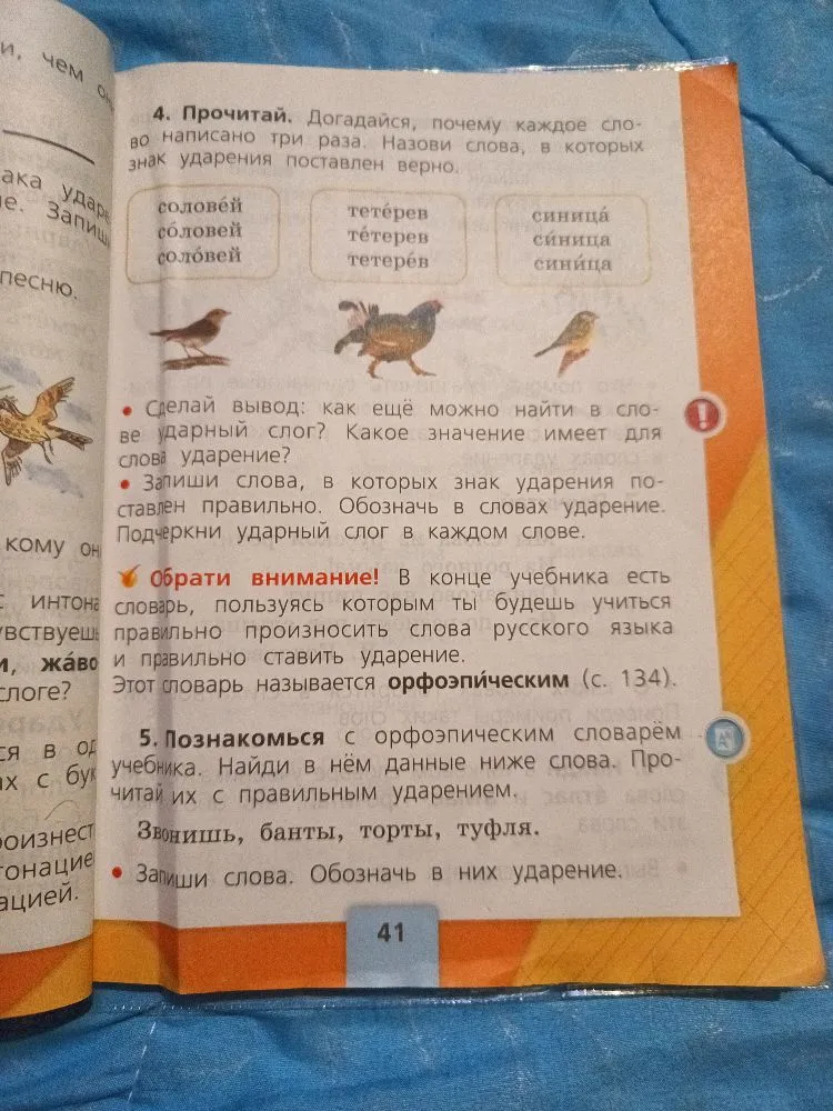 4. Прочитай. Догадайся, почему каждое слово написано три раза. Назови слова, в которых знак ударения поставлен верно. 5. Познакомься с орфоэпическим словарём учебника. Найди в нём данные ниже слова. Прочитай их с правильным ударением: Звонишь, банты, торты, туфля.