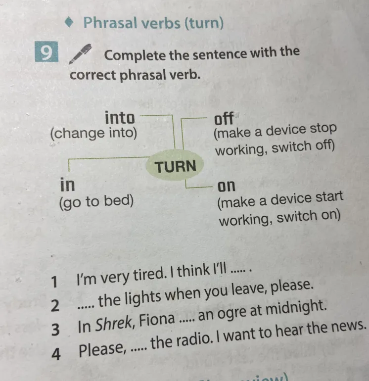 Complete the sentence with the correct phrasal verb: turn into, turn off, turn in, turn on.