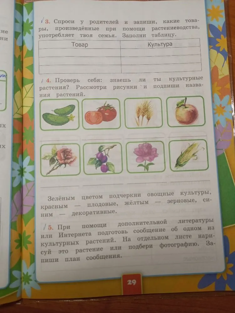 Проверь себя: знаешь ли ты культурные растения? Рассмотри рисунки и подпиши названия растений.