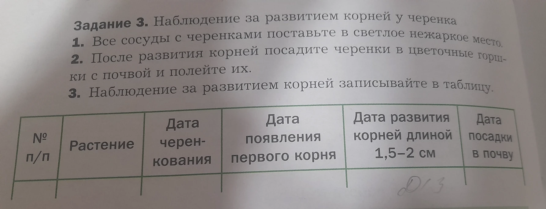Задание 3. Наблюдение за развитием корней у черенка