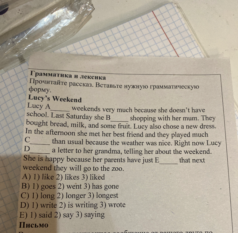 Прочитайте рассказ. Вставьте нужную грамматическую форму. Lucy's Weekend.
