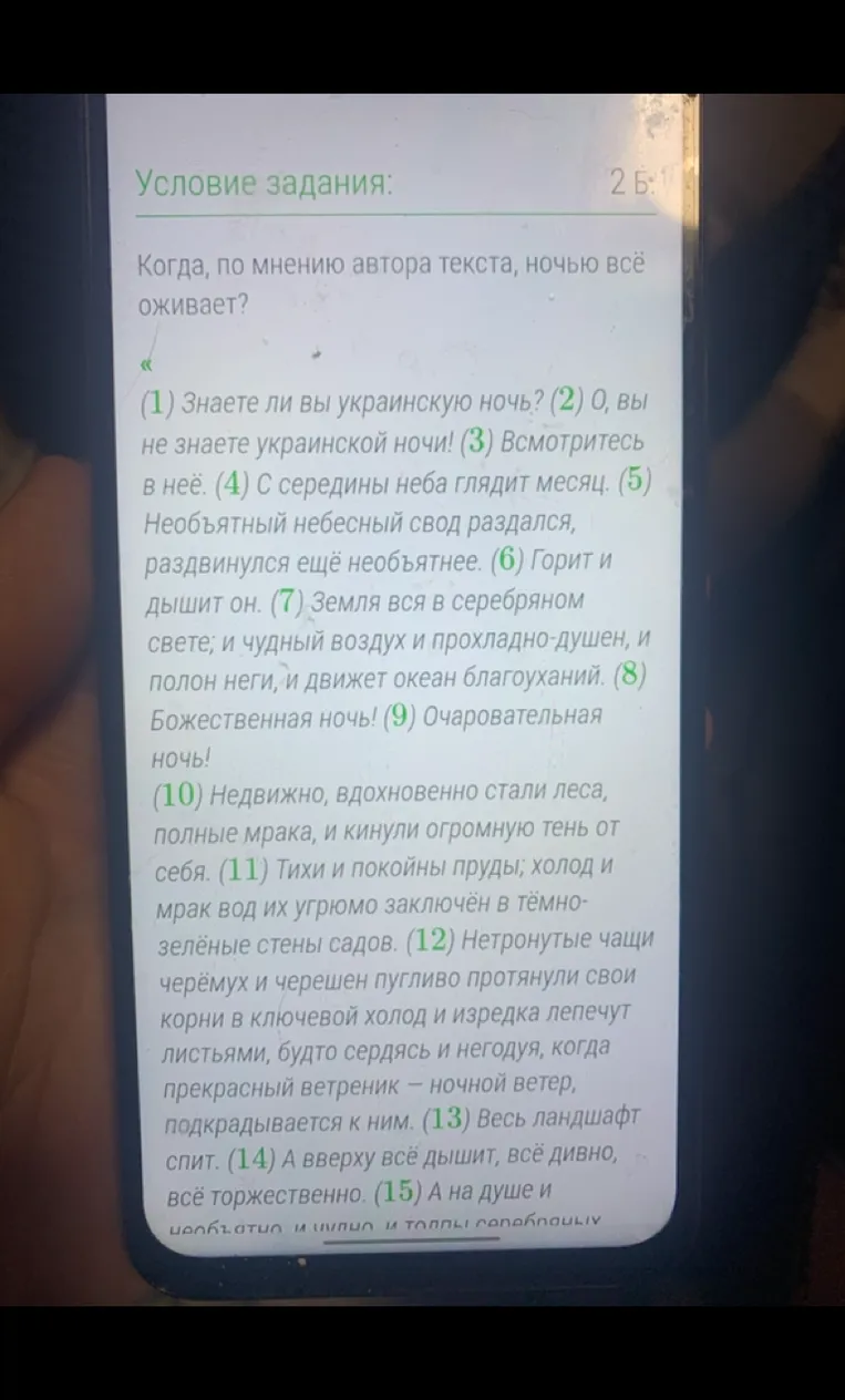Когда, по мнению автора текста, ночью всё оживает?