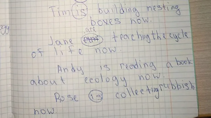 Отрицание и вопрос к предложениям: Tim is building nesting boxes now. Jane are teaching the cycle of life now. Andy is reading a book about ecology now. Rose is collecting rubbish now.